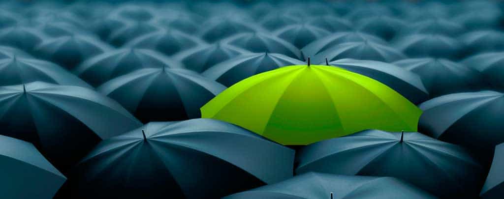 black-cow-differentiate-shopify