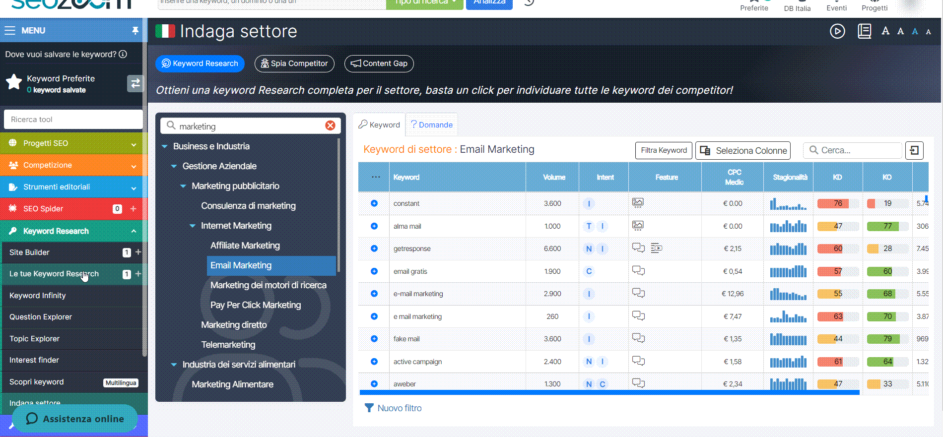 niche investigation seozoom