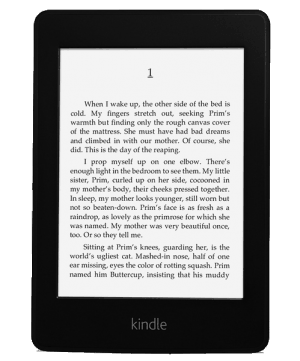 kindle ebook reader