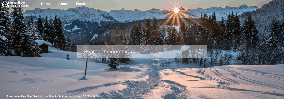 immagini creative commons ccsearch