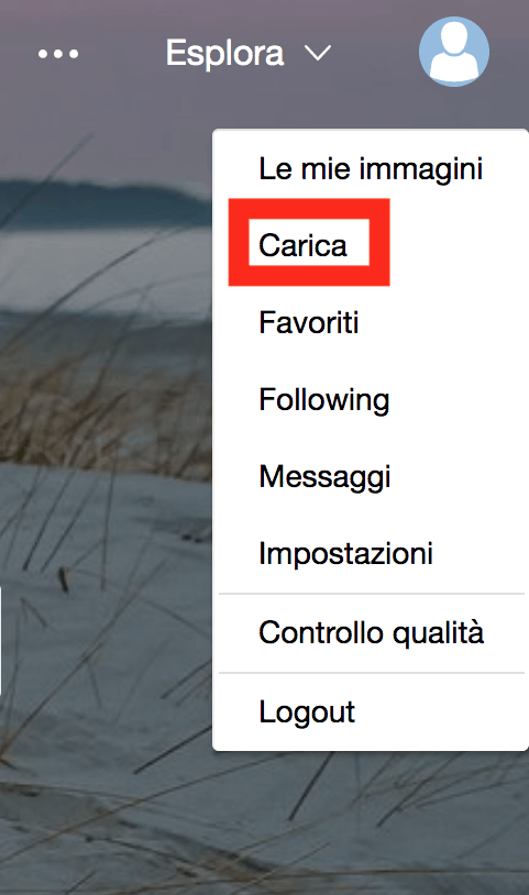 carica immagine su pixabay