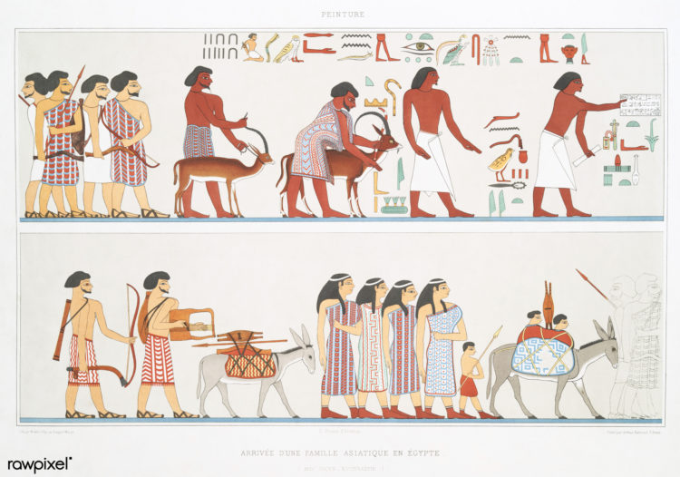 egyptian pets egyptian pets