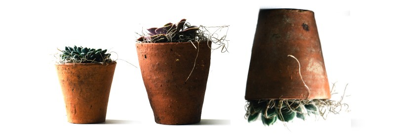 convertire i contatti in clienti