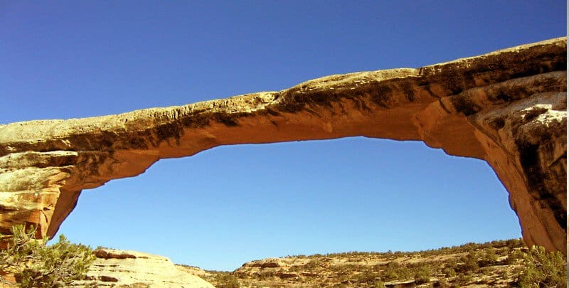 link building naturale