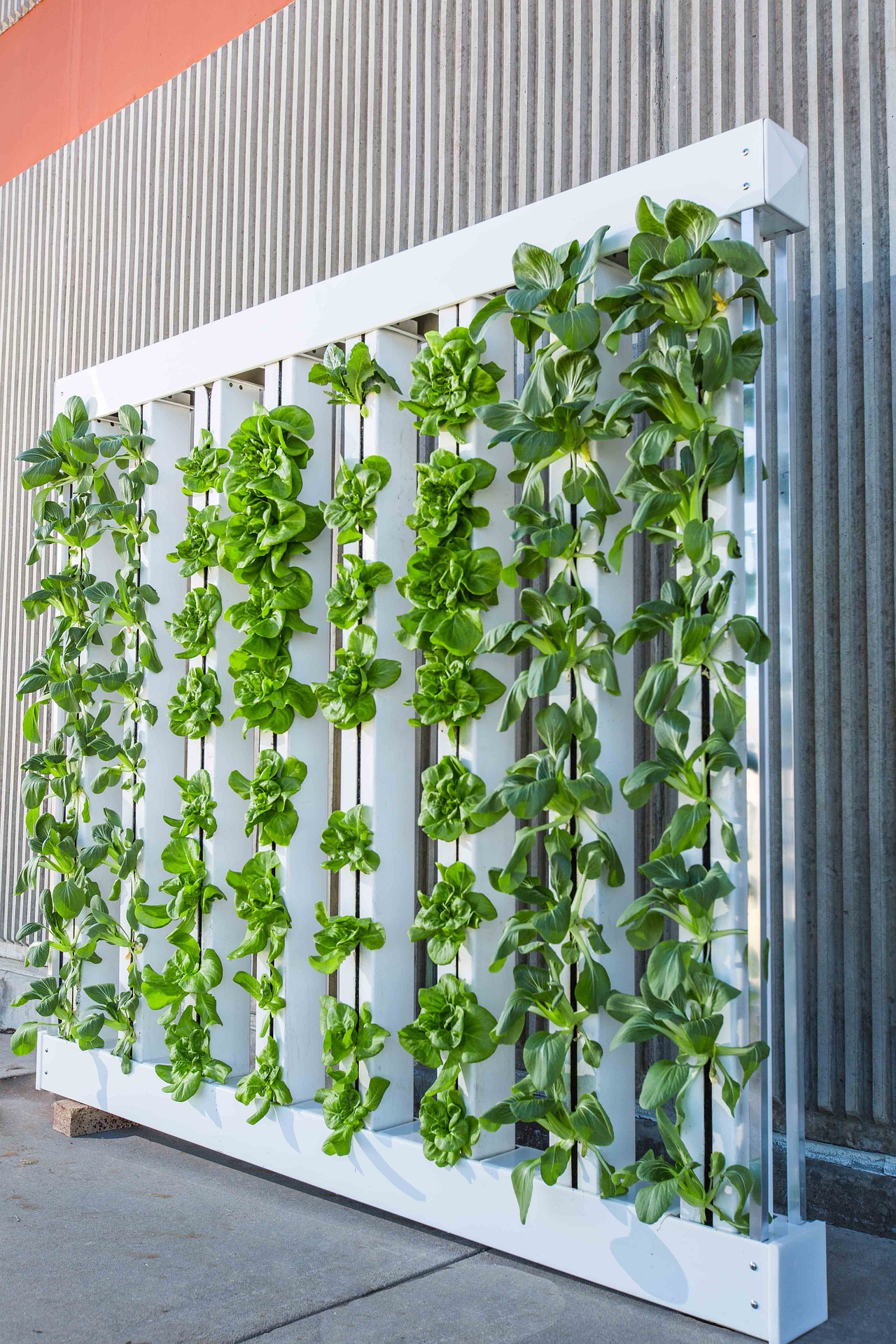 vertical farming 01