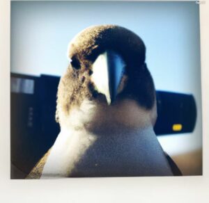 uccello generato da dall-e