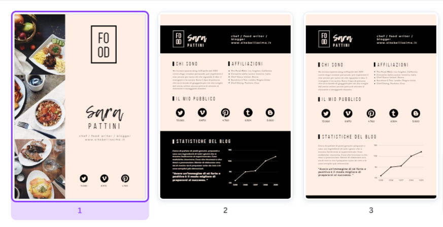 media kit-influencer