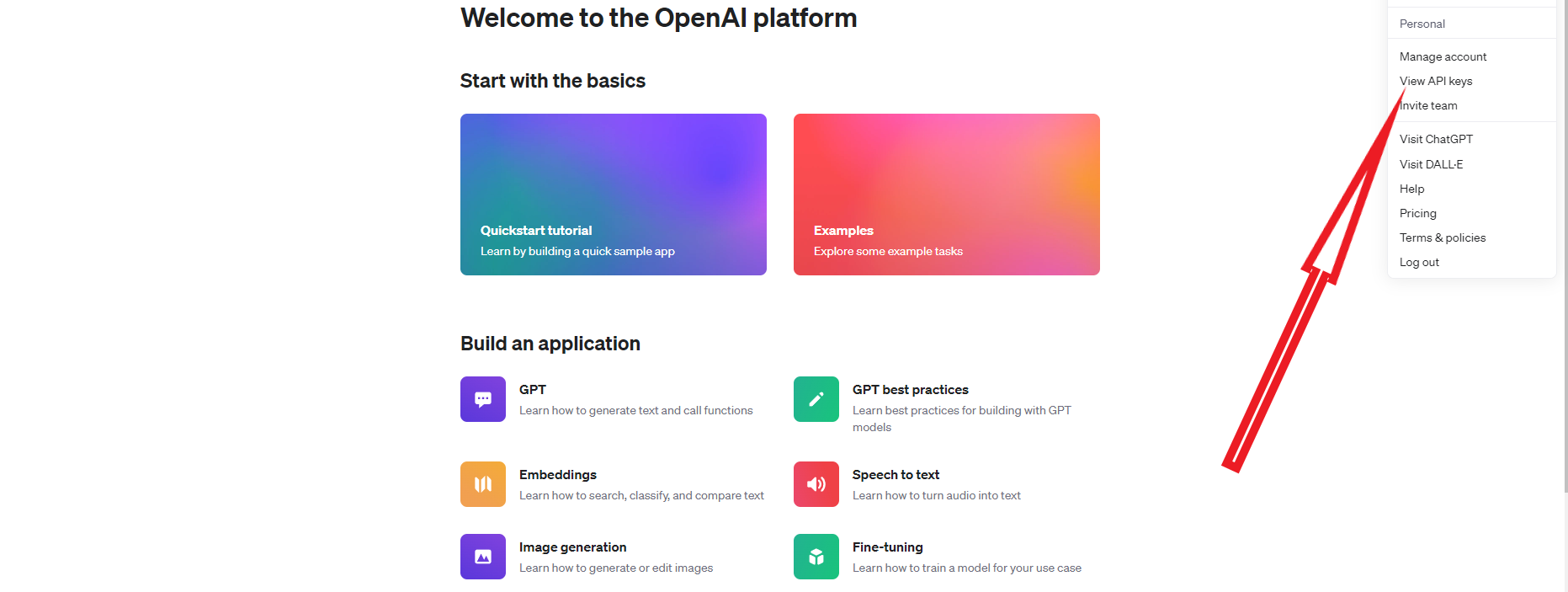 API OpenAI: cosa sono e come utilizzarle per il tuo business