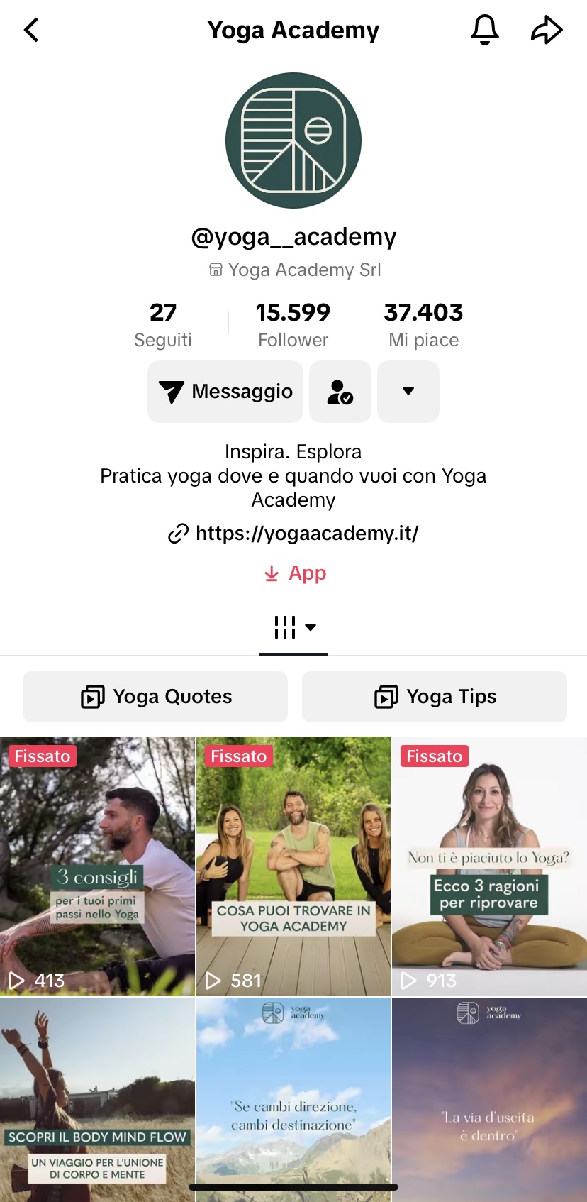 profilo efficace tik tok profilo efficace tik tok