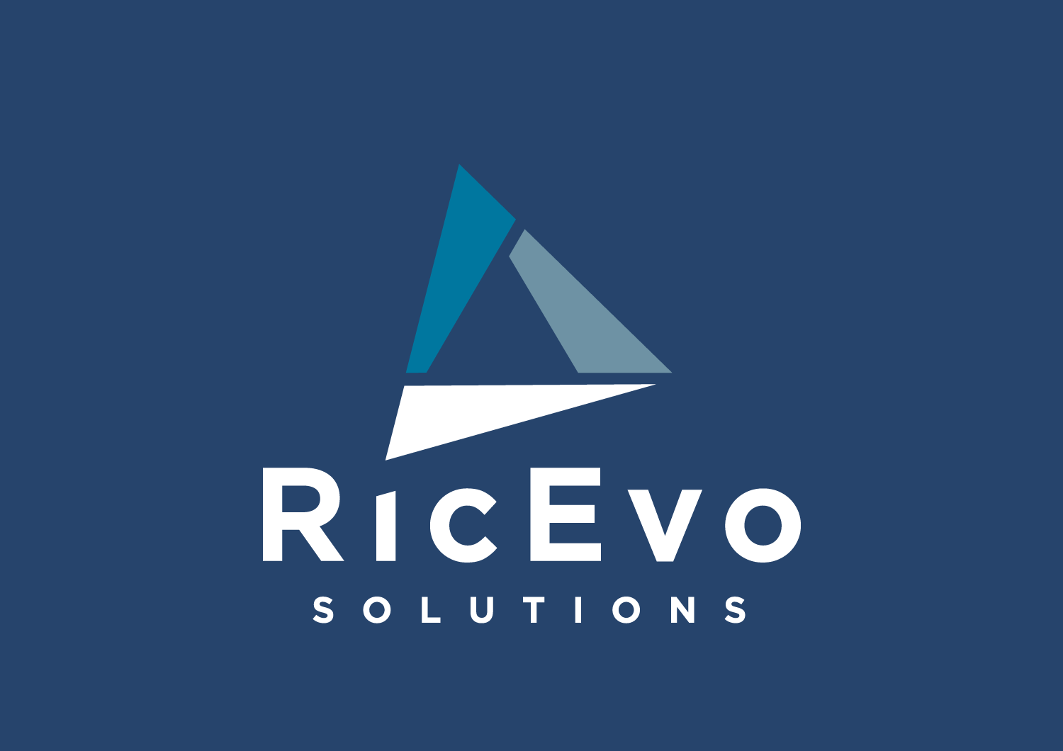 R_solutions_negativo_sfondocolorato